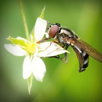 /album/mseyqusk/photolia-a02-jpg/