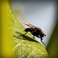 /album/mseyqusk/photolia-a04-jpg/