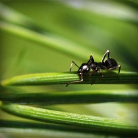 /album/mseyqusk/photolia-a05-jpg/