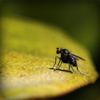 /album/mseyqusk/photolia-a07-jpg/