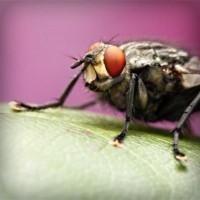 /album/mseyqusk/photolia-a08-jpg/